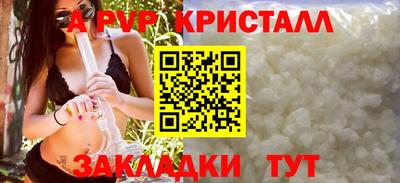 сатива Кингисепп
