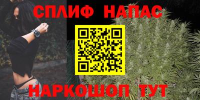 прущие крисы Камышлов