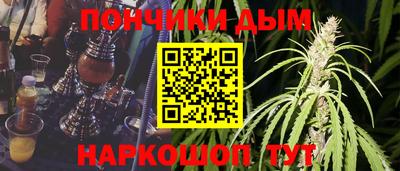 прущие крисы Камышлов