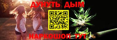 сатива Кингисепп
